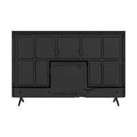 新品、未使用 チューナーレスTV skyworth r25tr02a