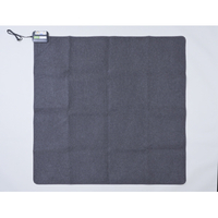 YAMAZEN 空気をキレイにするホットカーペット SUT-202