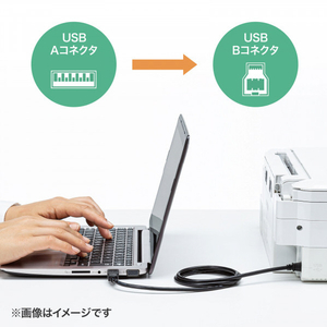 サンワサプライ USB2．0ケーブル(5m) ブラック KU20-5BKHK2-イメージ5