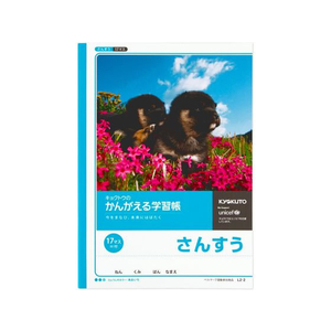 キョクトウ かんがえる学習帳 B5 さんすう 17マス =付 1～4年生17マス「＝」付き1冊 F887879-L2-2-イメージ1