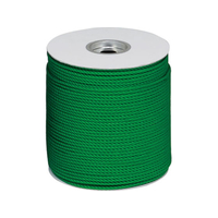 トーエイライト TOEI LIGHT トーエイライト/グランドロープ 6×300 緑 杭なし FCJ889B-G1586G