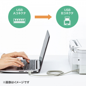 サンワサプライ USB2.0ケーブル(5m) KU20-5HK2-イメージ3