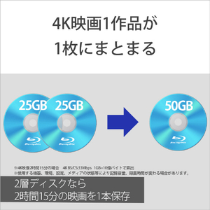 SONY 録画用50GB(2層) 2倍速対応 BD-RE ブルーレイディスク 11枚入り 11BNE2VPPS2-イメージ4