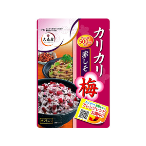 カリカリ梅　様　　専用出品 赤城フーズ 種とりカリカリ梅 1袋 210g 大粒 業務用 熱中症対策