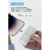 Anker A1645N51 Nano Power Bank (12W, Built-In Lightning Connector