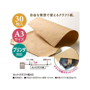 タカ印 オリジナルワークス カットクラフト紙 A3 30枚 FC934NW-12-8501-イメージ3
