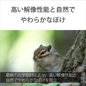 SONY Eマウント用レンズSEL100400 デジタル一眼カメラα[Eマウント]用レンズ SEL100400-イメージ4