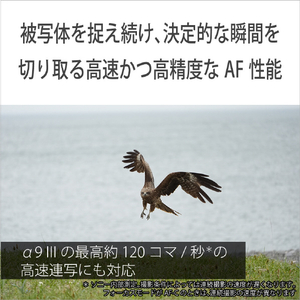 SONY Eマウント用レンズSEL100400 デジタル一眼カメラα[Eマウント]用レンズ SEL100400-イメージ6