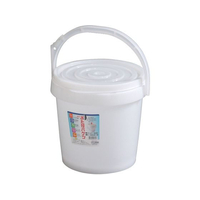 ＪＥＪアステージ ふた付バケツ #10 ナチュラル FC969LJ-3673850