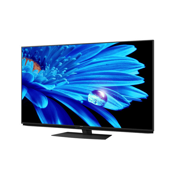 シャープ 60V型4Kチューナー内蔵液晶テレビ AQUOS 4TC60EN1 搭載 対応 Blackパネル AIオート 外付けUSBカメラ 別売 を接続し ×1 スタンド含む