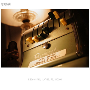 SONY レンズ E 30mm F3．5 Macro SEL30M35-イメージ11