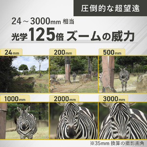 ニコン コンパクトデジタルカメラ COOLPIX P1100 COOLPIX P1100-イメージ4