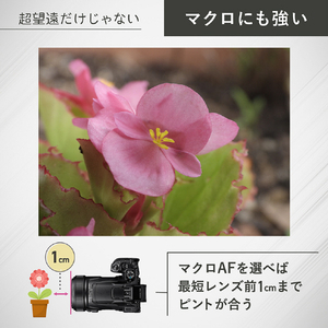 ニコン コンパクトデジタルカメラ COOLPIX P1100 COOLPIX P1100-イメージ6