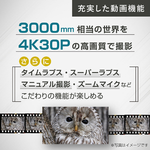 ニコン コンパクトデジタルカメラ COOLPIX P1100 COOLPIX P1100-イメージ7