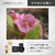 ニコン コンパクトデジタルカメラ COOLPIX P1100 COOLPIX P1100-イメージ6