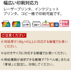 コクヨ はがきサイズで使い切りやすい ファイルボックス用ラベル 2面 100枚 FCK249B-KPC-PS021-100-イメージ4