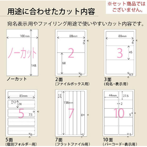 コクヨ はがきサイズで使い切りやすい ファイルボックス用ラベル 2面 100枚 FCK249B-KPC-PS021-100-イメージ6