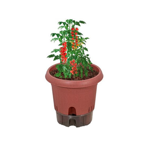 ＬＩＶ ＰＬＵＳ ベストコ 植木鉢 給水式 ポット 300型 テラコッタ FCE172W-MA-4207-イメージ2