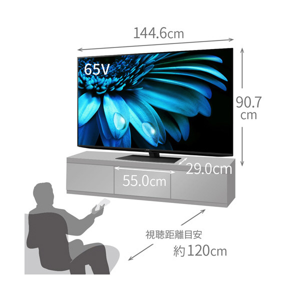 シャープ 65V型4Kチューナー内蔵液晶テレビ AQUOS 4TC65EL1 搭載 対応 Google AIオート COCORO 外付けUSBカメラ 別売 を接続し ×1 スタンド含む