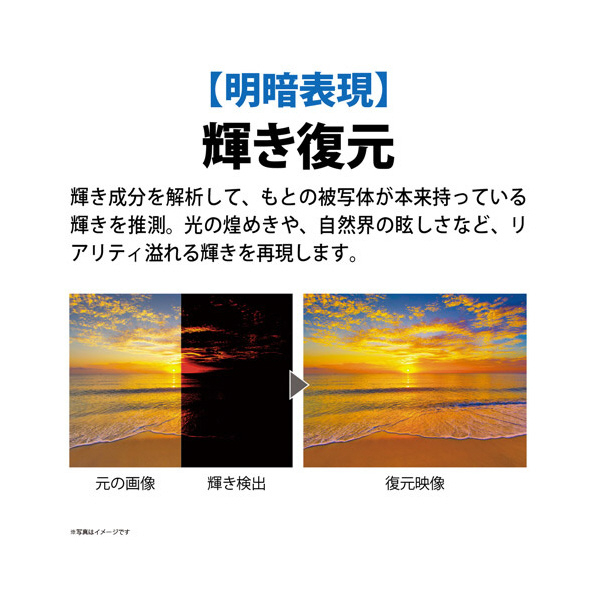 シャープ 65V型4Kチューナー内蔵液晶テレビ AQUOS 4TC65EL1 搭載 対応 Google AIオート COCORO 外付けUSBカメラ 別売 を接続し ×1 スタンド含む