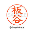 シヤチハタ ネームペン用ネーム シルバー 既製 板谷 FC46009-X-GPS-0238
