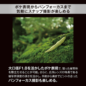 OMデジタルソリューションズ 単焦点レンズ M.ZUIKO DIGITAL 17mm F1.8 II 17MM F1.8 II-イメージ3