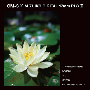 OMデジタルソリューションズ 単焦点レンズ M.ZUIKO DIGITAL 17mm F1.8 II 17MM F1.8 II-イメージ8