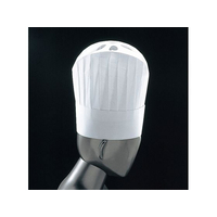 Pal グランデトック シェフハット 10枚入 N35110 H300 FC661LR-6048900