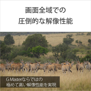 SONY デジタル一眼カメラα[Eマウント]用レンズ FE 300mm F2.8 GM OSS SEL300F28GM-イメージ3