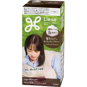 KAO リーゼ 泡カラー 髪色もどし ナチュラルブラウン FC562TD-イメージ2