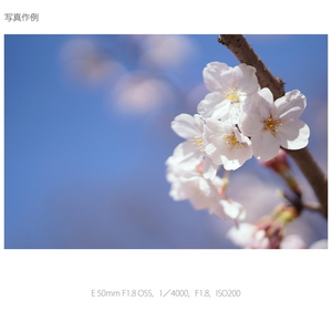 SONY 中望遠レンズ E 50mm F1．8 OSS SEL50F18-イメージ2