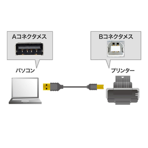 サンワサプライ 極細USBケーブル(USB2．0 A-Bタイプ・1m) ブラック KU20-SL10BKK-イメージ2