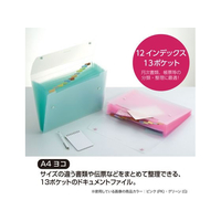 セキセイ FC669RW-SSS-1212-G ドキュメントファイル A4 13ポケット