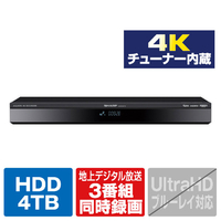 シャープ 4TB HDD/4Kチューナー内蔵ブルーレイレコーダー AQUOS ブルーレイ 4B-C40GT3