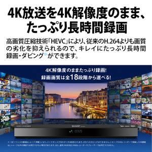 シャープ 4TB HDD/4Kチューナー内蔵ブルーレイレコーダー AQUOS ブルーレイ 4B-C40GT3-イメージ3