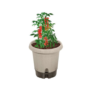 ＬＩＶ ＰＬＵＳ ベストコ 植木鉢 給水式 ポット 360型 アイボリー FCE176W-MA-4211-イメージ2