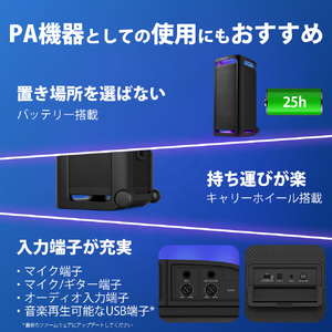 SONY ワイヤレスポータブルスピーカー ブラック SRS-ULT900-イメージ11