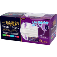 iiもの本舗 FCT9436-405812 三層構造空間ドーム型マスクやや小さめ