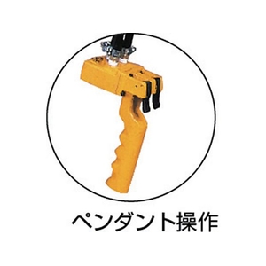 遠藤工業 エアーホイスト EHW-120R 120kg 1.9M 0.6MPa FC525HA-1074482-イメージ2