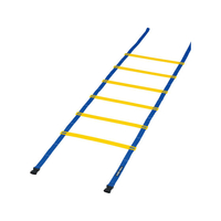 トーエイライト TOEI LIGHT トーエイライト/スピードラダー HG40-4m FCJ901B-G1631