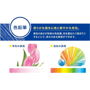 シヤチハタ アートライン 色鉛筆 12色セット FC739SZ-KCP-12C/H-イメージ2