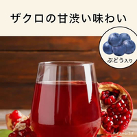 籠ザクロ 伊藤園 FCA7243-62245 ザクロmix 紙パック 200ml |エディオン