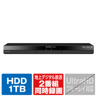 シャープ 1TB HDD内蔵ブルーレイレコーダー AQUOS ブルーレイ 2B-C10GW1