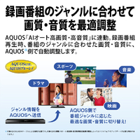 シャープ 2B-C10GW1 1TB HDD内蔵ブルーレイレコーダー AQUOS