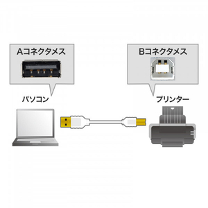 サンワサプライ 極細USBケーブル(USB2.0 A-Bタイプ・2m) KU20-SL20WK-イメージ2