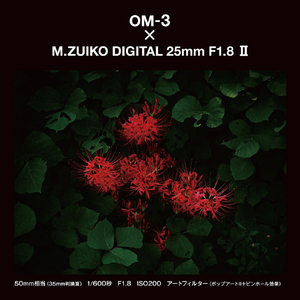 OMデジタルソリューションズ 単焦点レンズ M.ZUIKO DIGITAL 25mm F1.8 II 25MM F1.8 II-イメージ8