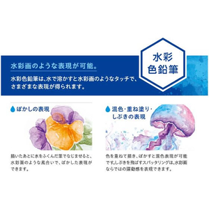 シヤチハタ アートライン 水彩色鉛筆 12色セット FC742SZ-KCP-W12C/H-イメージ2