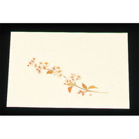 アーテック 尺三 懐石まっと クリーム 100枚 WSS-4 桜 FC826LW-7959800