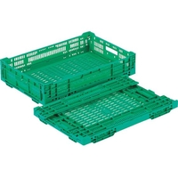 岐阜プラスチック工業 RSコンテナーRS-MM22(薄型折りたたみコンテナー) 緑 FC420GL-8362412