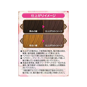 シュワルツコフヘンケル ヘンケル/フレッシュライト ミルキーヘアカラー ビスケットブラウン(1セット) FC25979-イメージ3